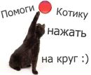 Ілона Косовюк фотография #3 (источник - https://vk.com/id162716594)