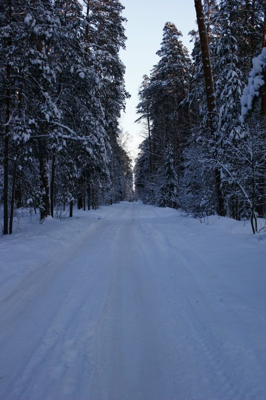 Дмитрий Удельнов фотография #48