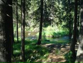 Марк Малышев фотография #18 (источник - https://vk.com/id4768522)