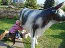 Діаночка Марцішко фотография #10 (источник - https://vk.com/id159804945)