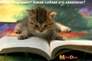 Сергій Чубар фотография #13 (источник - https://vk.com/id69593597)