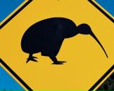 Денис Ковин фотография #1