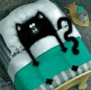 Фотография Sergeeva Darina