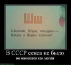 Вика Ткаченко-Малинкина фотография #31 (источник - https://vk.com/id4354431)