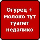 Артьом Пітенко фотография #18 (источник - https://vk.com/id151854325)
