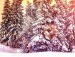 Юрій Старов фотография #26 (источник - https://vk.com/id6192550)