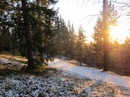 Фотография Каронен Ольги