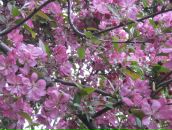 Юлія Парфеса фотография #30 (источник - https://vk.com/id6576639)