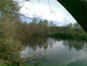 Сергій Манжура фотография #27 (источник - https://vk.com/id155292009)