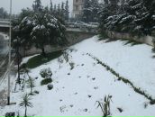 Иван Иванов фотография #27 (источник - https://vk.com/id423083)