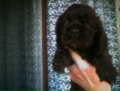 Катя Брэйн фотография #1