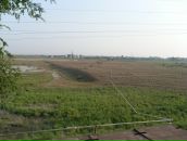 Иван Панченко фотография #47 (источник - https://vk.com/id55579)