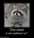 ®®® Butirata ®®® фотография #27 (источник - https://vk.com/id78739519)