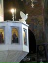 Фотография Космачёвой Свет