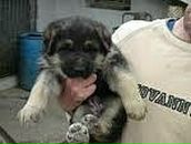 Гріша Мацков фотография #16 (источник - https://vk.com/id89545862)