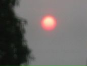 Фотография Белой Натальи