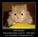 Фотография Бородулина Владимира