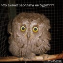 Фотография Здоровяка Лёши