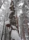 Фотография Наджимова Александра