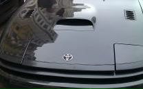 Фотография Егорова Дарья