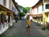 Фотография Осоченко Софии