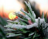 Фотография Валиевой Гули