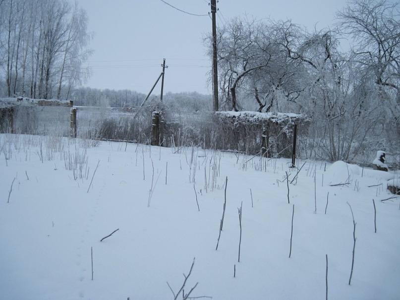 Руслан Мартыненко фотография #27
