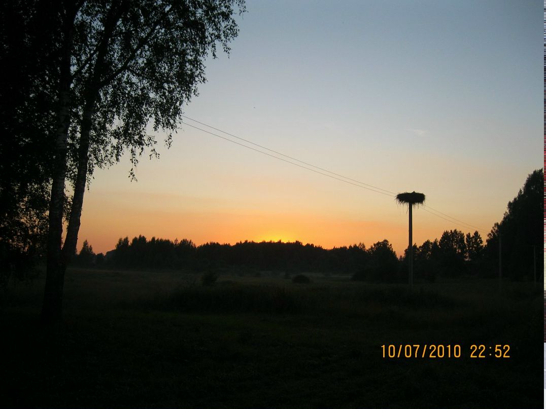 Сергей Козлов фотография #29