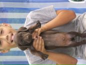 Іван Алмаші фотография #26 (источник - https://vk.com/id89643469)