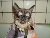 Фотография Сальникова Дмитрия