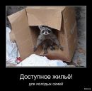 Фотография Портных Александра