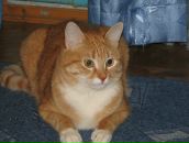 Фотография Васильева Сергея