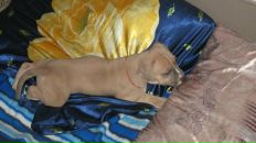 Серий Челядін фотография #36 (источник - https://vk.com/id7693308)