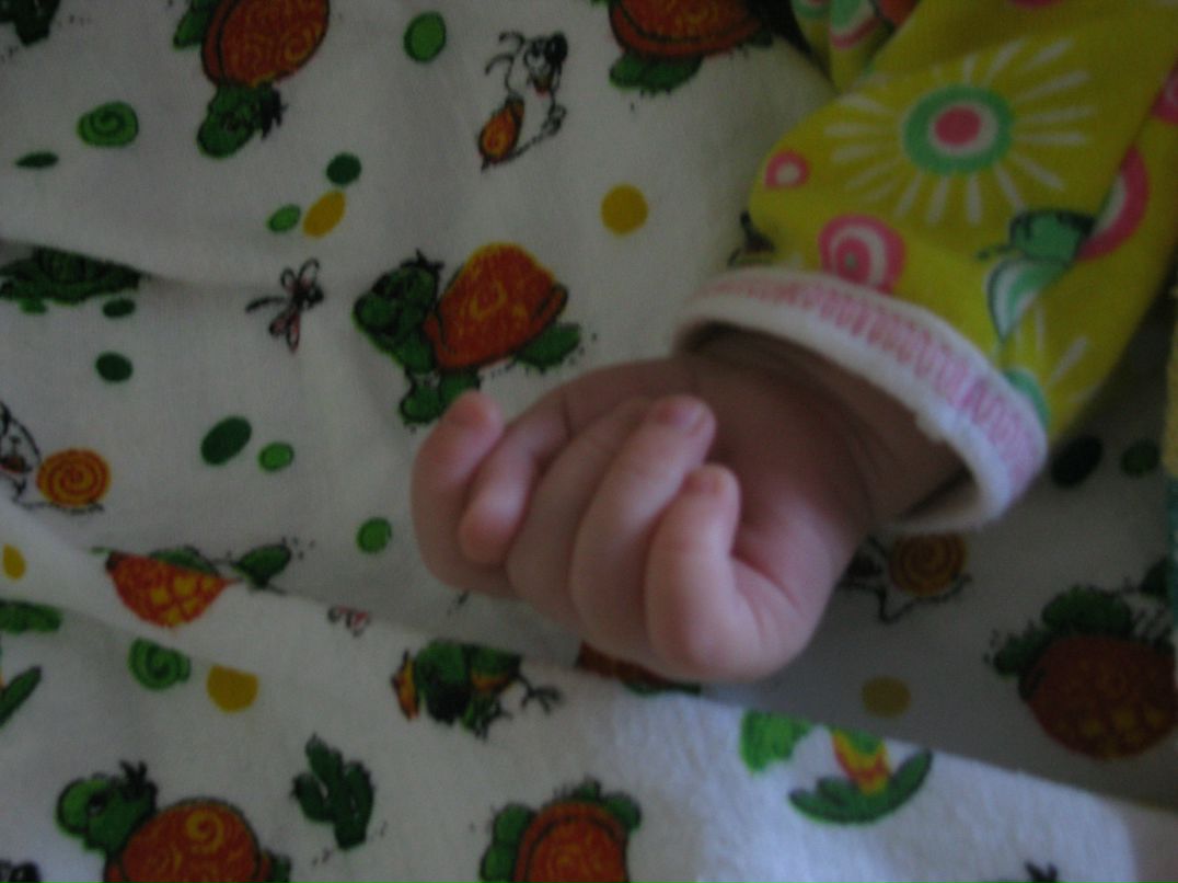 Дмитрий Сидоров фотография #19