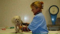 Фотография Сергатюк Олеси