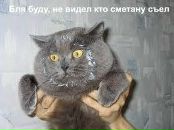 Марія Гунька фотография #4 (источник - https://vk.com/id141636126)