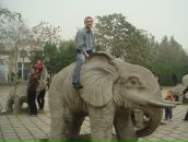 Фотография Бисерова Антона