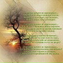 Анатолій Гораш фотография #10 (источник - https://vk.com/id91477116)
