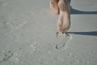 Фотография Яблонской Надюши