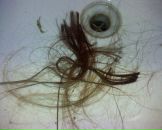 Фотография Лужецкого Алексея