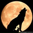 Фотография Тимофеевой Людмилы