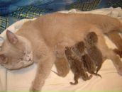 Фотография Иванова Алексея