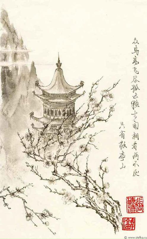 Николай Зыков фотография #18