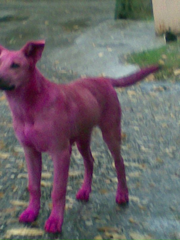 Олег B@ld фотография #4