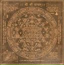 Фотография Затолочного Александра