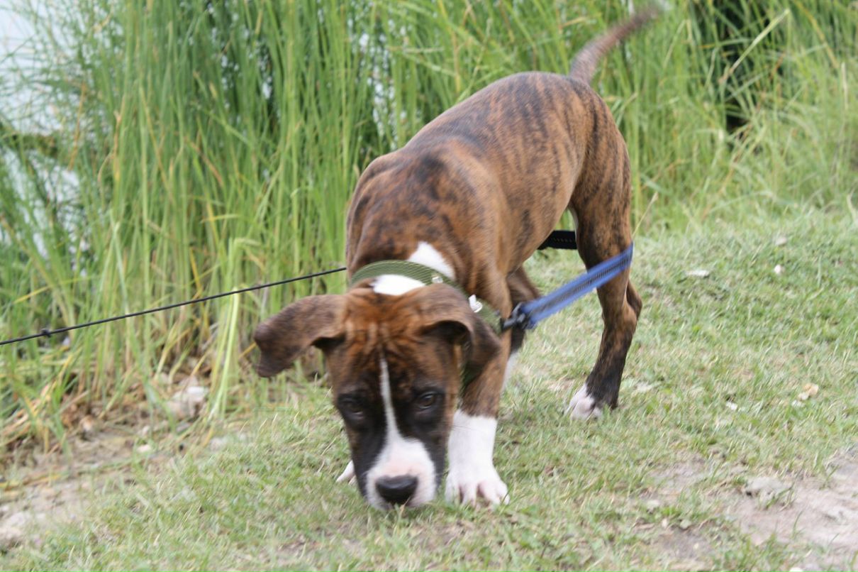 Кирилл Митяев фотография #21