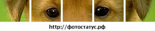 Аліна Третякович фотография #26 (источник - https://vk.com/id36342602)