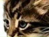 Аліна Третякович фотография #33 (источник - https://vk.com/id36342602)