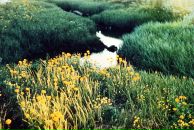 Рунге Кутт фотография #30 (источник - https://vk.com/id202315)