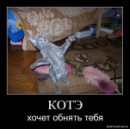 N[i]ki Baby фотография #9 (источник - https://vk.com/id66662499)